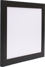 Sample Frame