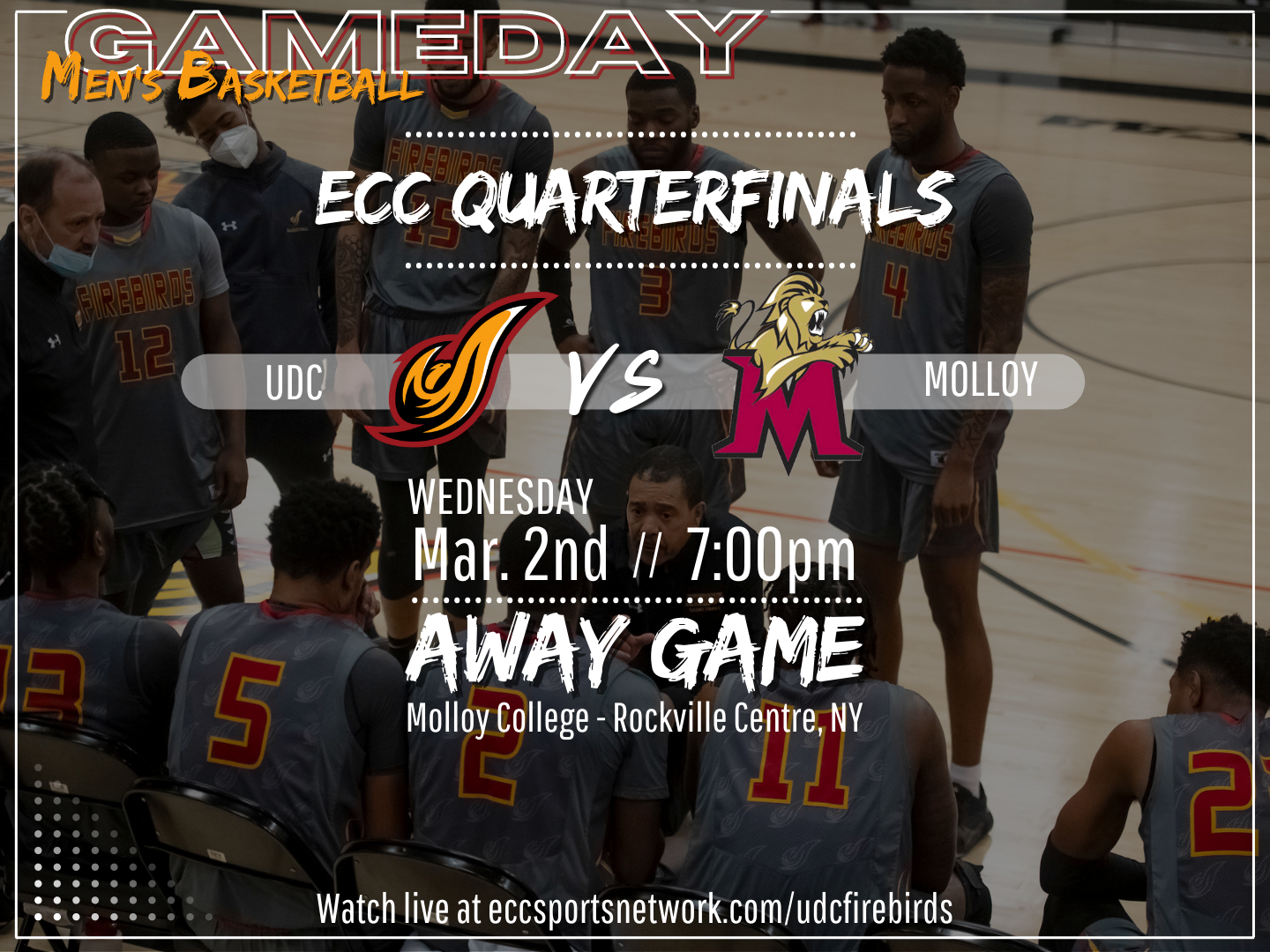 UDC Men's Basketball Set to Face Off Against Molloy College in ECC Qarterfinals