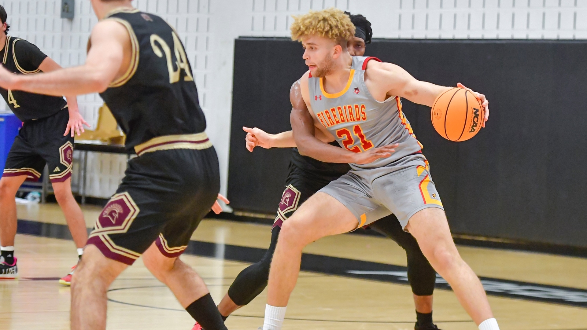 Firebirds Fall at D&rsquo;Youville in Conference Road Matchup