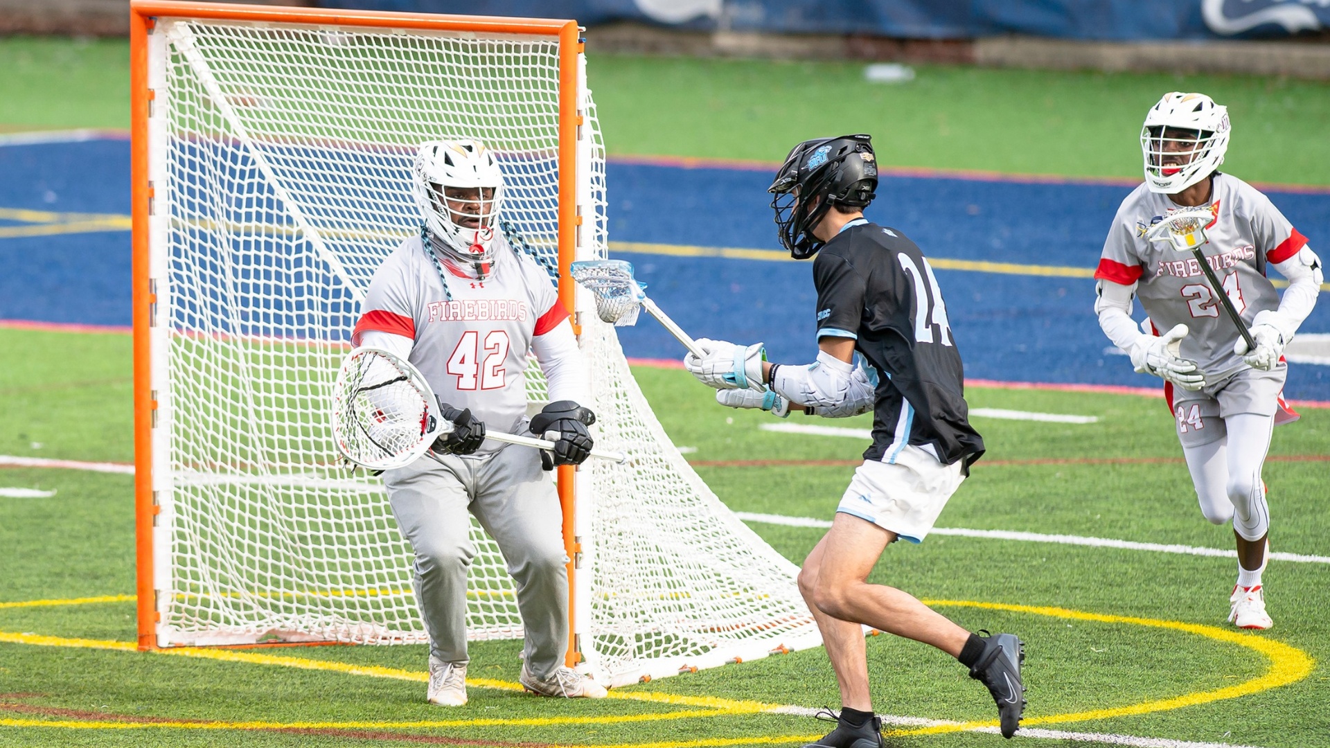 UDC Men's Lacrosse Defeated by Lions