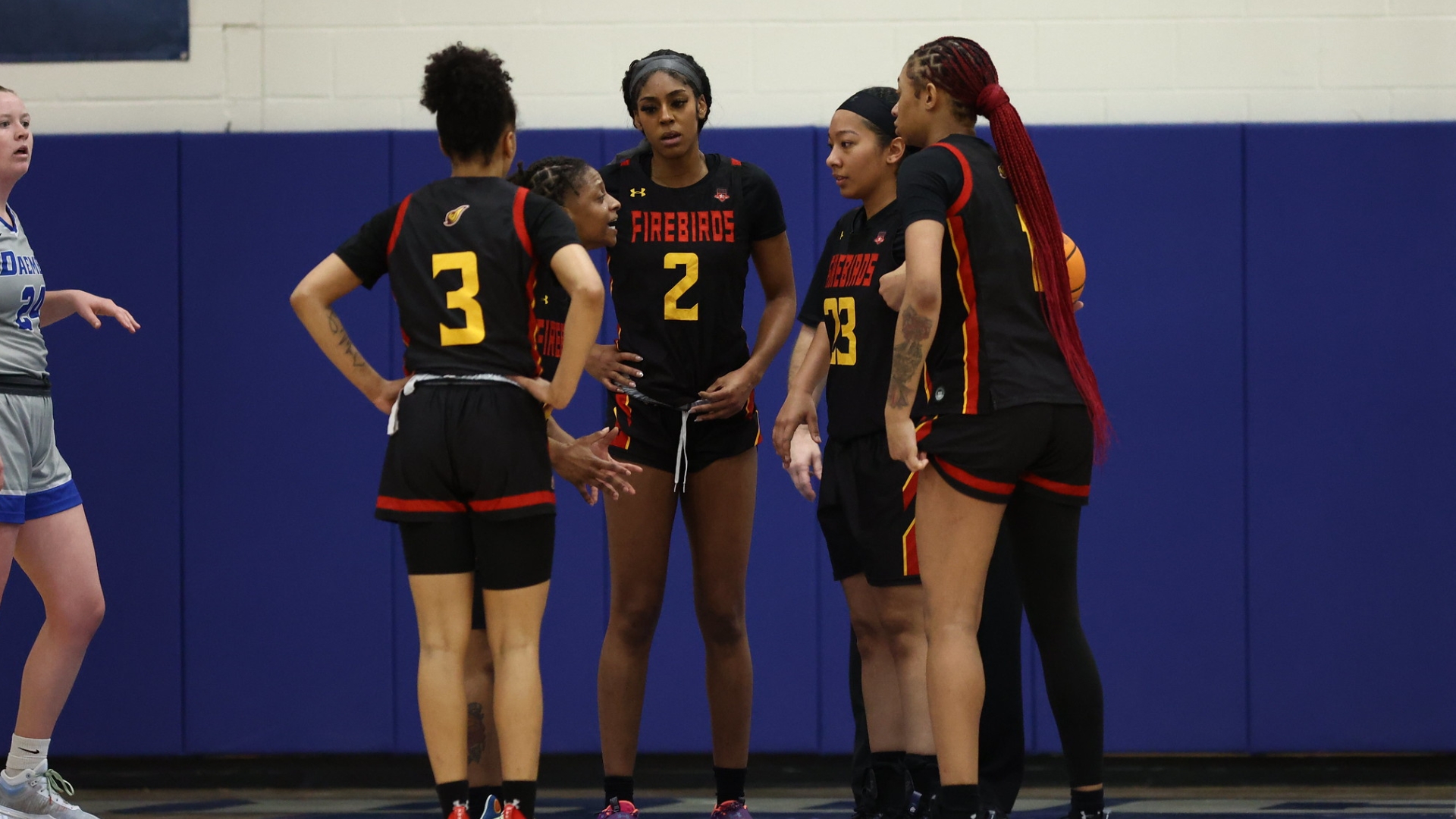 Women's Basketball Season Comes to a Close After Falling to Daemen in ECC Semi-final