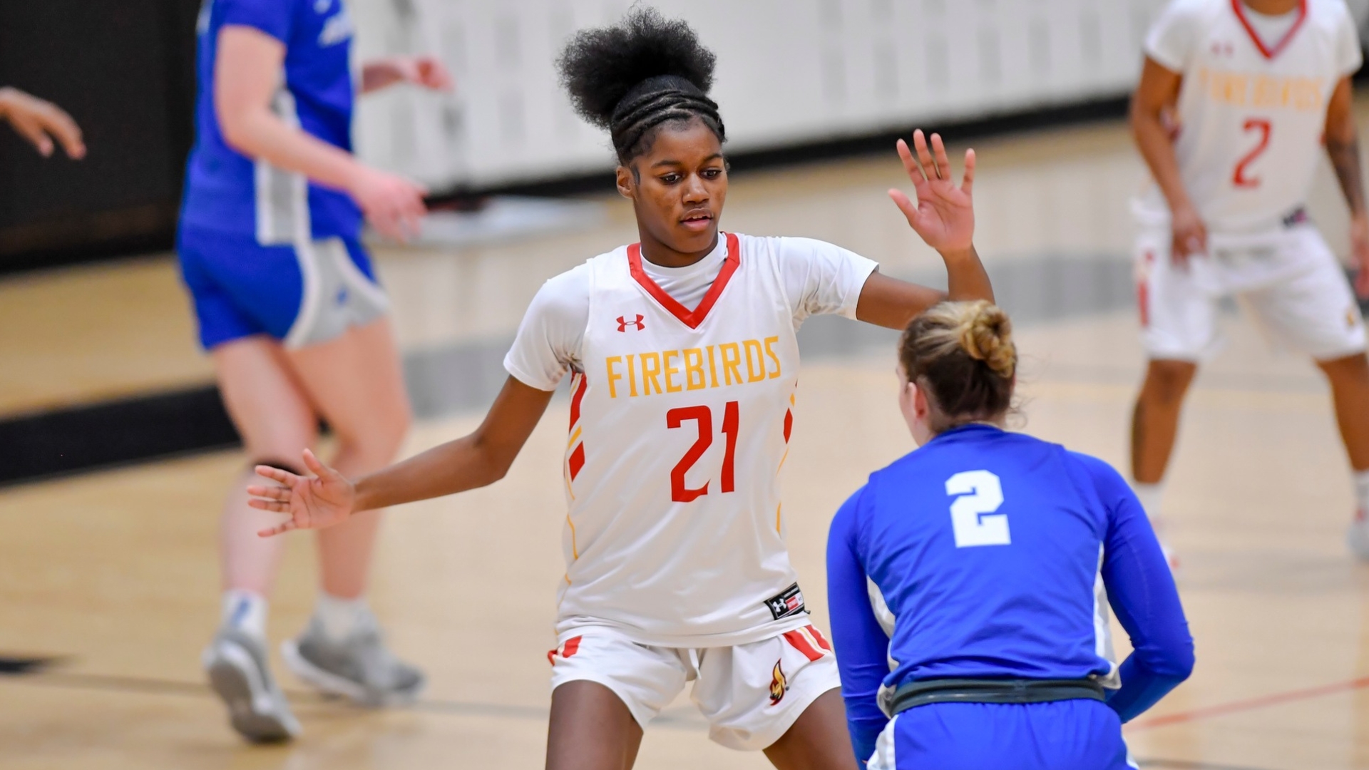 Todd Named ECC Rookie of the Week, Ellis Earns Honor Roll Recognition