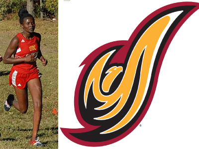 Stella Sangs Performance at NYU Qualifies Her for NCAA Indoor Track Championships