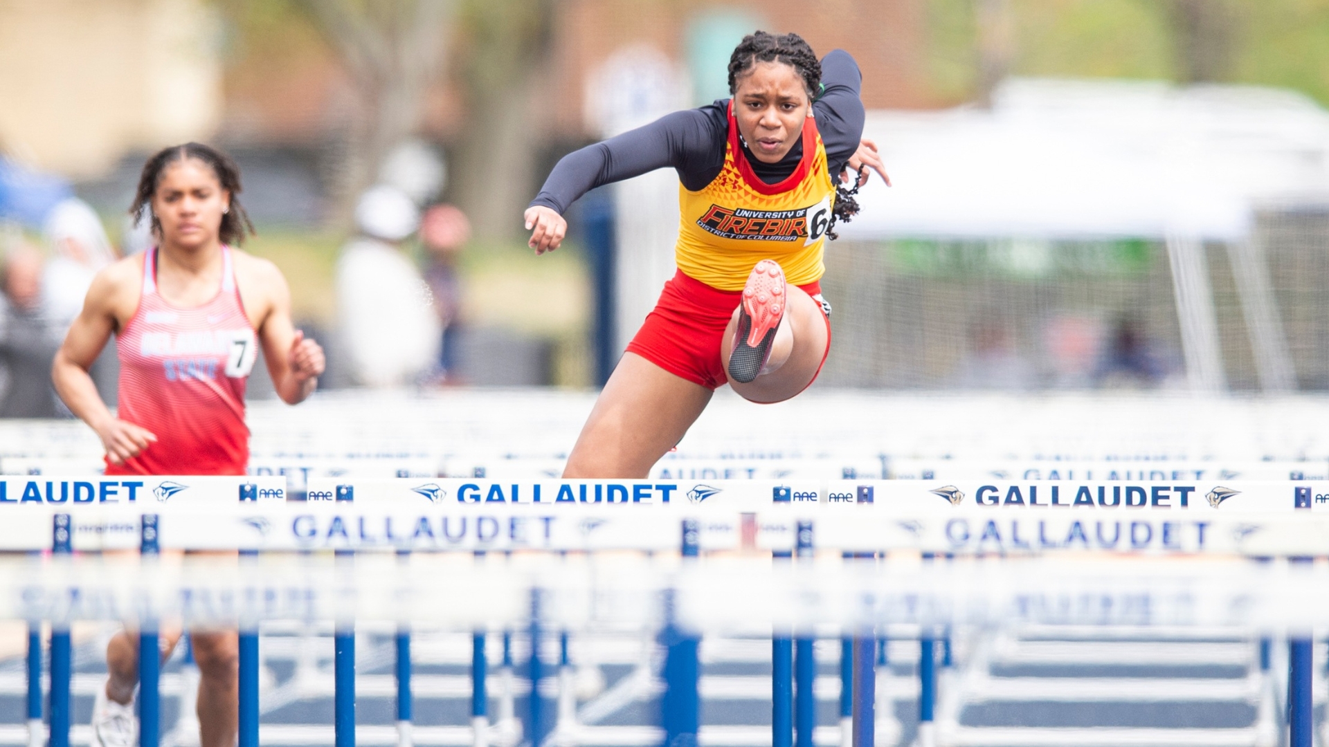 Firebirds Shine at NSU Invitational