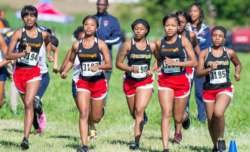 Women's Cross Country @ Delaware State Hornet Invitational