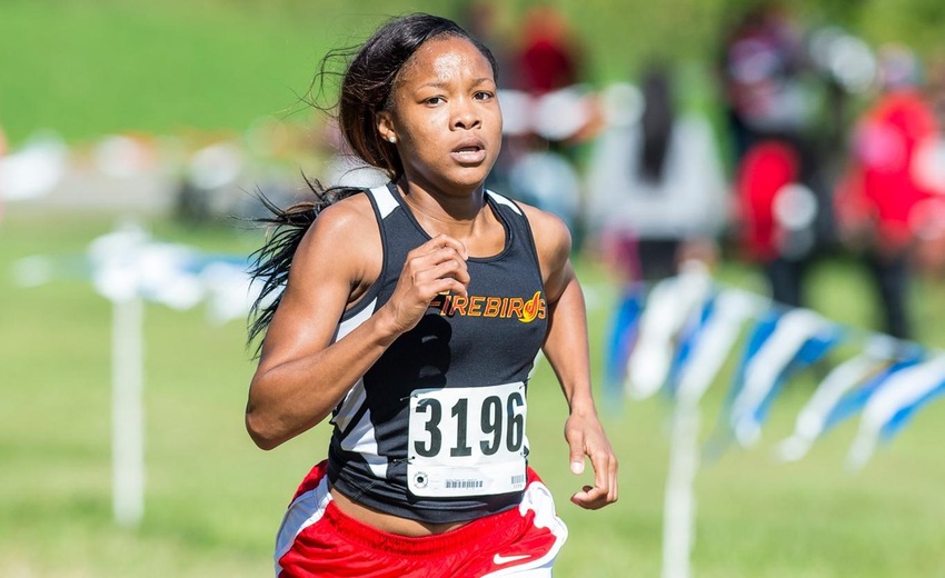 Women's Cross Country @ Delaware State Hornet Invitational