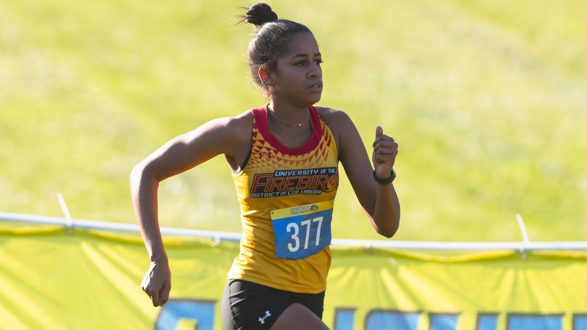 Firebirds Race at Doncart Invitational 6K